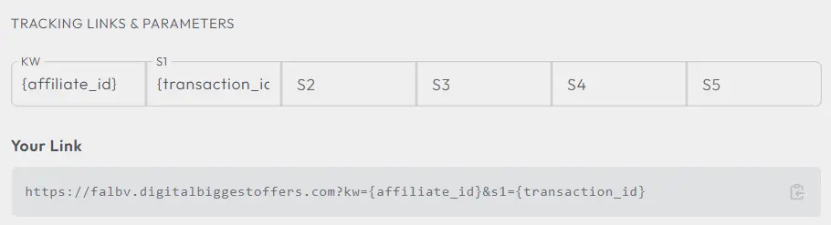 Everflow tracking link parameters