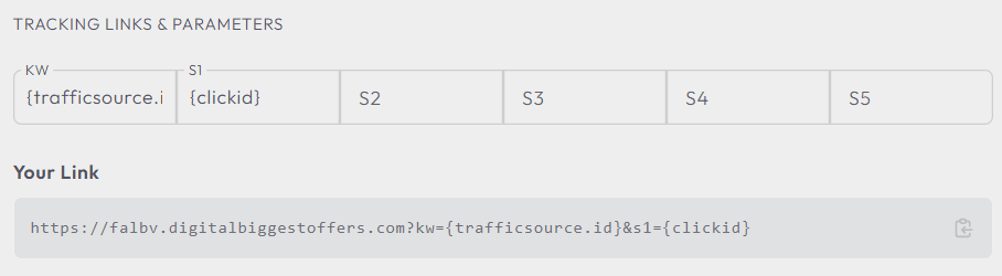 Voluum tracking link parameters